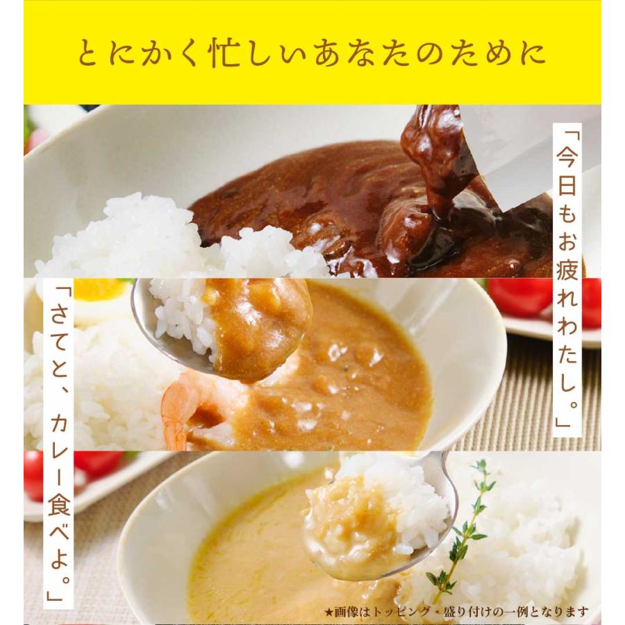 丸市岡田商店 明日のための私のカレー 100g × 6種セット（6個セット） 送料無料 レトルトカレー ご当地 北海道産 札幌 ギフト お歳暮 御歳暮 クリスマス