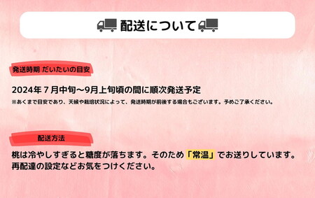 ◆2024年夏発送◆＜ 産直・こだわり桃・約2kg ＞ ※着日指定不可 ※離島への配送不可 ※2024年7月中旬～9月中旬頃に順次発送予定