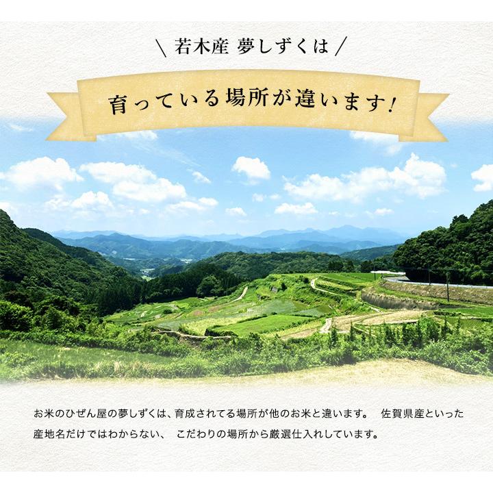 新米　米 お米 5kg 送料無料 若木 夢しずく 佐賀県産 武雄 産地限定米 令和5年度 5kg