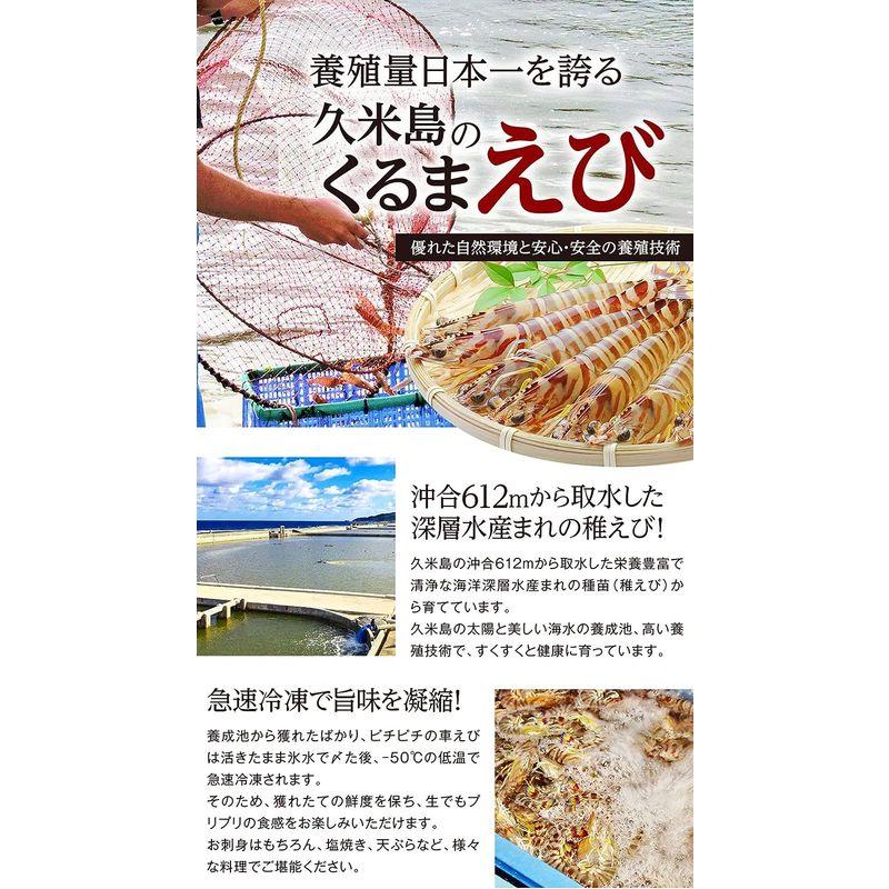 沖縄県久米島より直送 久米島産「活〆急速冷凍車海老（大サイズ：14?16cm）」500g（20?24尾）