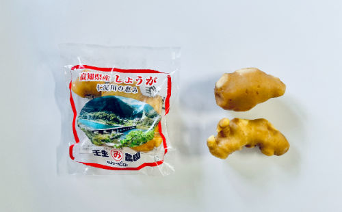 万能食材！こだわりの低農薬「囲い生姜」 100g×5袋