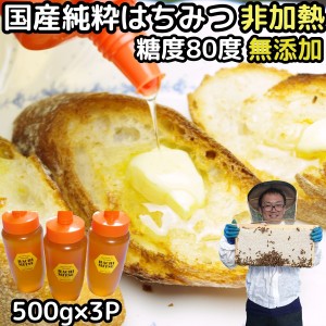 はちみつ 国産 送料無料 非加熱 蜂蜜 500ｇ 3本 計 1500g セット 糖度80度越え 無添加 100% 日本 山形 国産 天然 純粋 完熟 ハチミツ 百