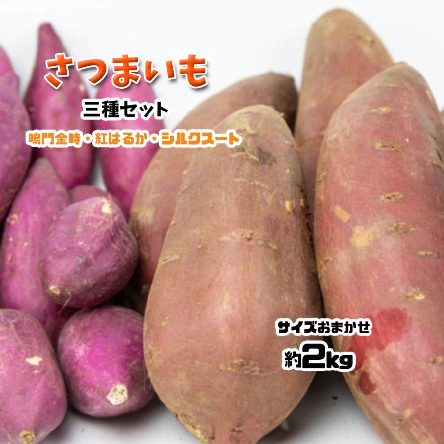 さつまいも 食べ比べ 3種セット 鳴門金時 シルクスイート 紅はるか 約2ｋｇ お試し 送料無料