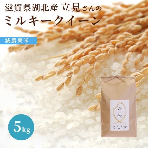 令和５年　滋賀県湖北産　立見さんのミルキークイーン 5kg