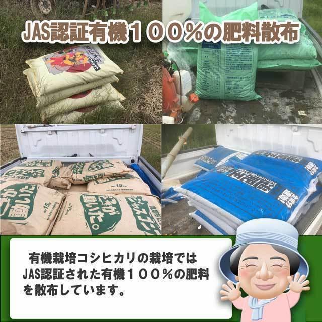 お米　コシヒカリ　20kg　令和5年　新潟産　有機栽培　白米　無農薬　無化学肥料