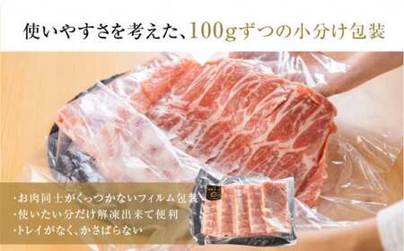 国産 豚肉 食べ比べ 500g × 計 1kg しゃぶしゃぶ用 ロース バラ 冷凍 田原ポーク 小分け 100g ずつ 個包装