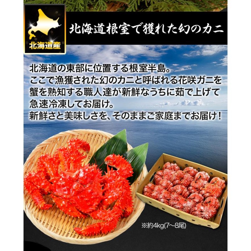 新日本製薬 Wの健康青汁 - 青汁/ケール加工食品