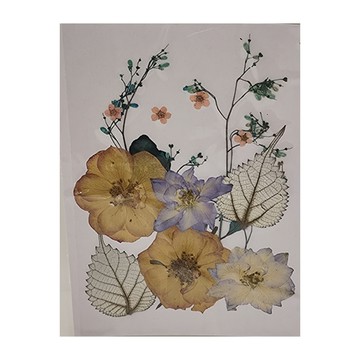 A-ONE 匯旺 真花壓花 小花包 Set 3包  紫花異草