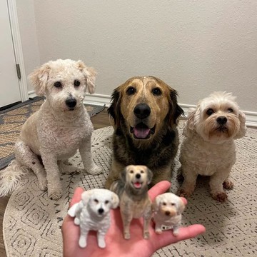 【客製化3D寵物紀念公仔】訂製手作似顏繪肖像狗狗貓咪毛小孩娃娃