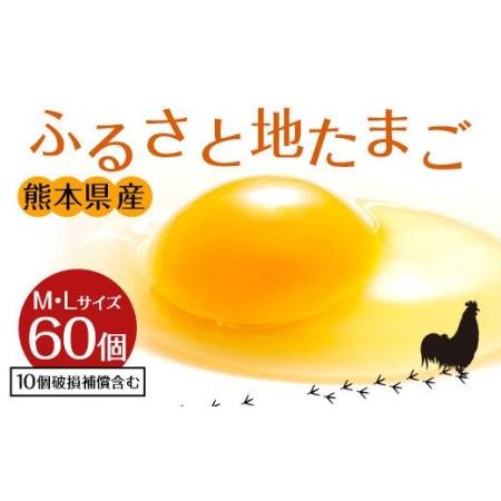 ふるさと納税 ふるさと地たまご 60個（M・Lサイズ）卵 赤たまご 10個破損補償含む 熊本県宇城市