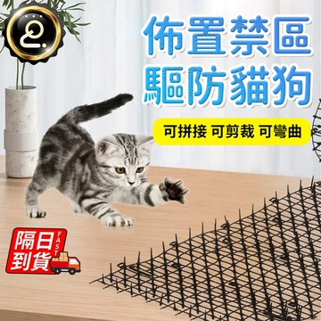 防貓刺網墊 防貓抓 可裁剪 安全不傷寵物 防貓綱墊 防貓上床 寵物用品 防貓不傷貓 驅貓神器 防護網 QJ2678