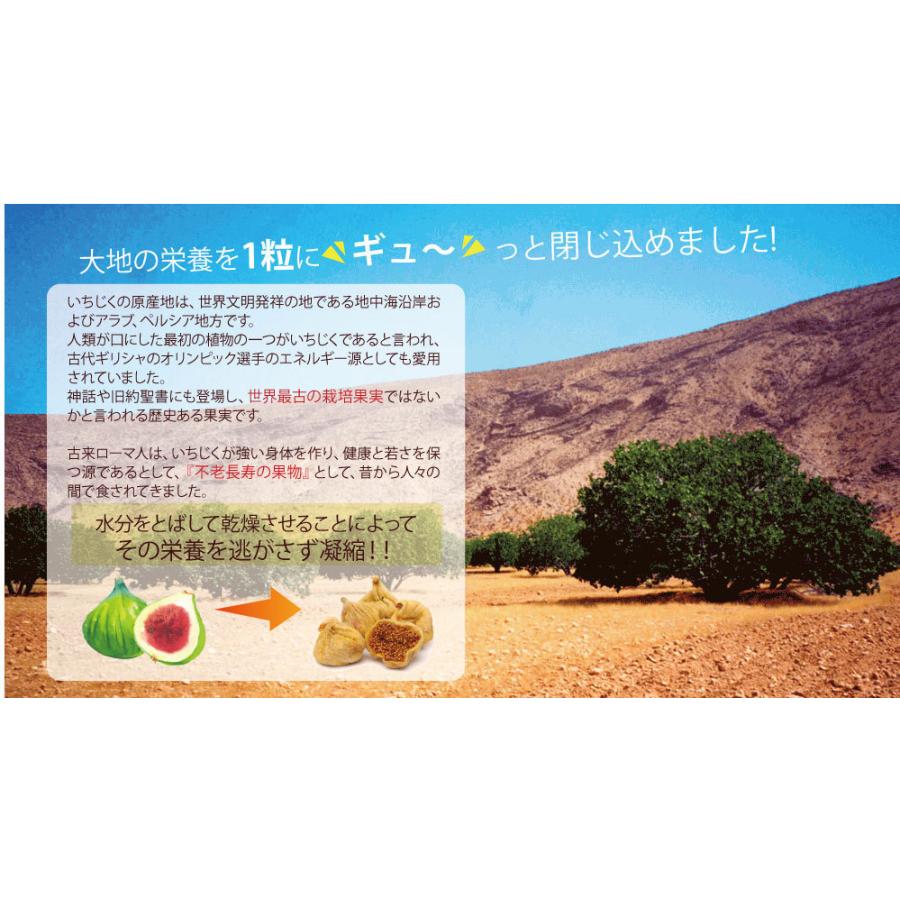 いちじく 無添加・農薬不使用　イラン産　ドライイチジク　100g