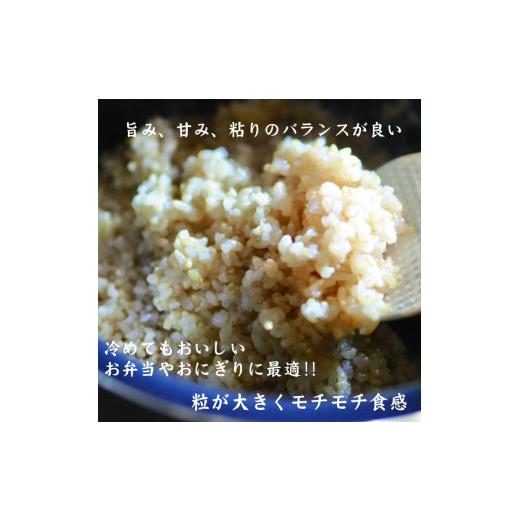 ふるさと納税 福島県 喜多方市 有機無農薬ＪＡＳ認証米コシヒカリ玄米5kg