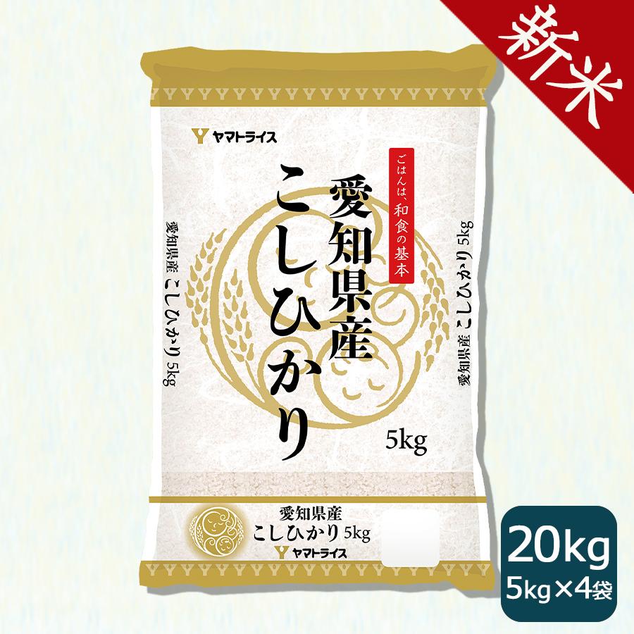 米 お米 20kg コシヒカリ 愛知県産 5kg×4 白米 令和5年産