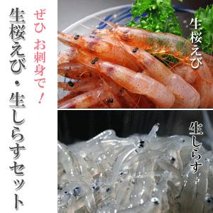 生桜えび200g×2、生しらす100g×3、セット　送料込　由比港水揚げ 駿河湾桜えび 静岡県産を安心して