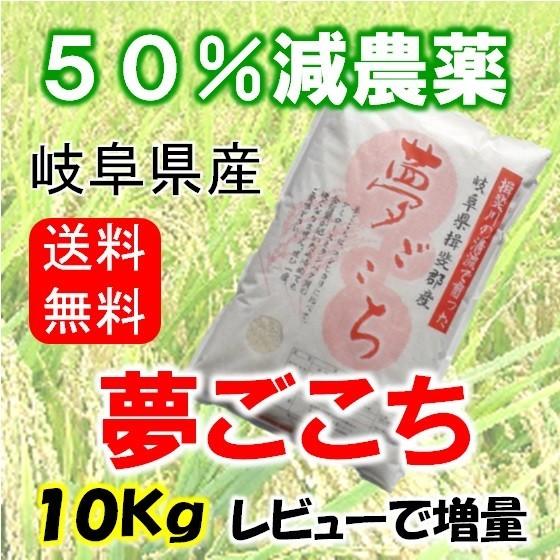 令和５年産 特別栽培米 岐阜県産 夢ごこち 玄米10Kg（レビューで増量）北海道 沖縄 離島は追加送料