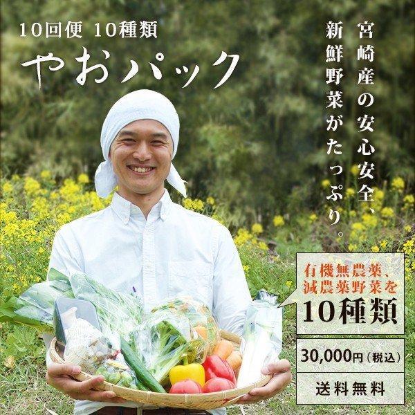 野菜セット やおパック 10回便　10種類　毎週または隔週お届け　送料無料