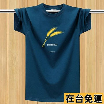 🔥台灣發出🔥 夏季冰絲短袖👕男生短袖T恤 寬鬆 短袖上衣男 加大碼 休閒運動上衣 簡約 跑步健身 排汗衫 透氣半袖