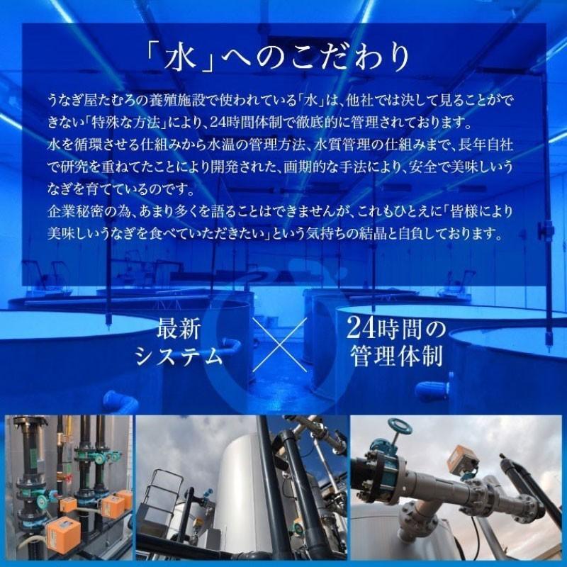 （4〜6人前）自宅用 国産うなぎ 蒲焼き 4尾 岐阜鰻たむろ極  ご褒美 お取り寄せ お取り寄せグルメ ご飯の友 送料無料 母の日 父の日 お歳暮 丑の日 高級