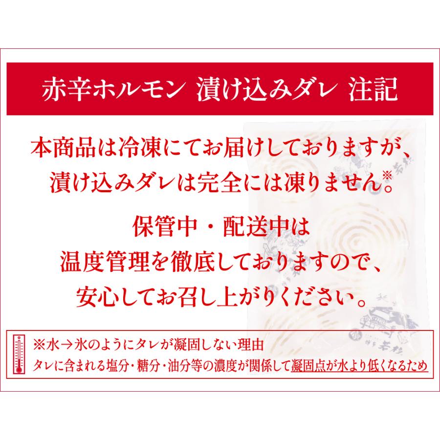 博多若杉 もつ鍋 お試しセット 2人前