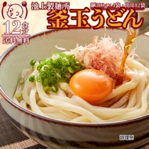 池上製麺所釜玉生うどん12食 讃岐 ダシ醤油 香川直送ご当地 生麺 食品グルメ セール 送料無料  お取寄せ ポイント消化 お試し