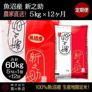 ふるさと納税 定期便！魚沼産 新之助5kg×12回 新潟県十日町市