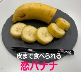 朝倉産5本セット