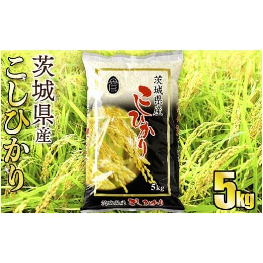 ふるさと納税 茨城県 守谷市 令和5年産茨城コシヒカリ　5kg