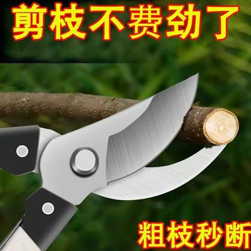 🔥臺灣出貨-熱賣中🔥修枝剪樹剪橘子果樹剪強力果樹傢用葡萄修剪專用花木SK5大全進口