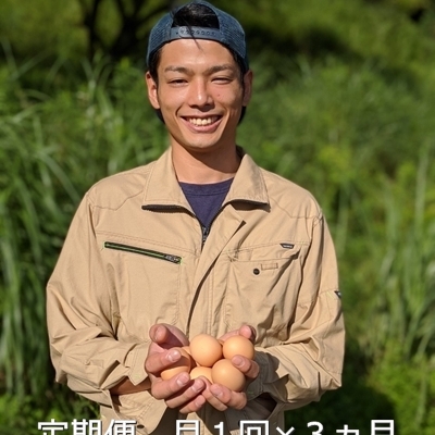 定期便 ３ヶ月 美味しい 平飼い 飛鳥の卵 ４０個 冷蔵 月１回 ／ 古都 風雅 ファーム ふるさと納税 たまご 玉子 鶏 卵 取り寄せ 新鮮 生食 安心 安全 健康卵 飛鳥 チルド 奈良県 宇陀市