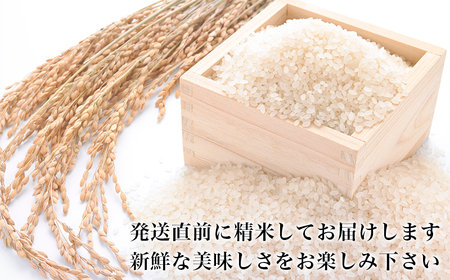 令和5年産 ヨシ腐葉土米 特別栽培米 ひとめぼれ 精米30kg（10kg×3袋）