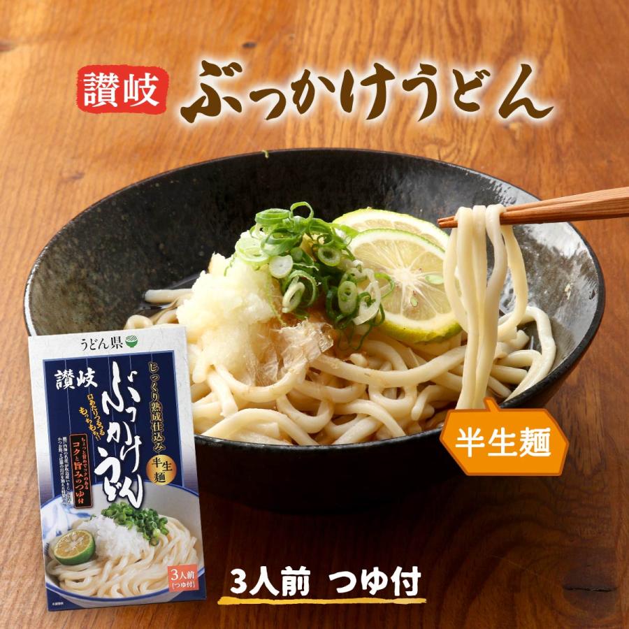 [讃州] 讃岐うどん うどん県 じっくり熟成仕込み 半生麺 讃岐ぶっかけうどん 3人前  讃岐 さぬき 香川県 讃岐つゆ ぶっかけ 麺類 コシ 製麺 香川名物