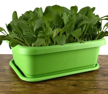 種菜盆種菜盆蔬菜種植盆室內陽臺種菜加厚塑料花盆土培蔬菜家庭菜園托盤推薦 台灣樂天市場 Line購物