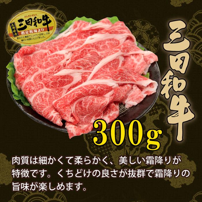 佐賀牛・三田和牛 肩ロース すき焼き しゃぶしゃぶ 2種 セット 3~4人 600g （300g×2種）