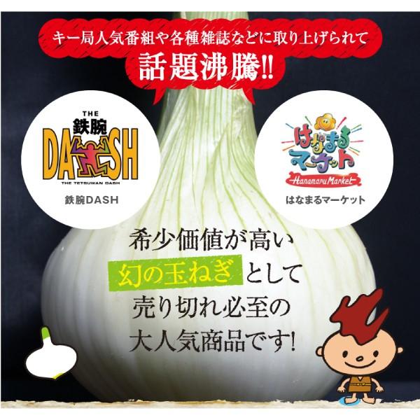 たまねぎ 白玉ねぎ 浜松篠原産プレミアムホワイト 辛くない！芳醇な甘さとみずみずしさが魅力