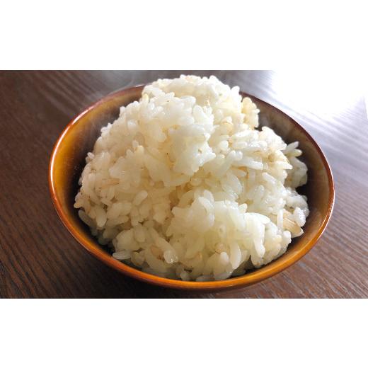 ふるさと納税 熊本県 益城町 発芽玄米用 玄米 腹福米 手作り セット 5kg タッパー ヒノヒカリ