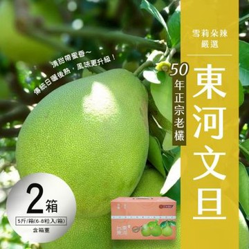 預購【雪莉朵辣嚴選】台東正宗老欉-東河文旦 5斤箱(6-8粒)X2箱
