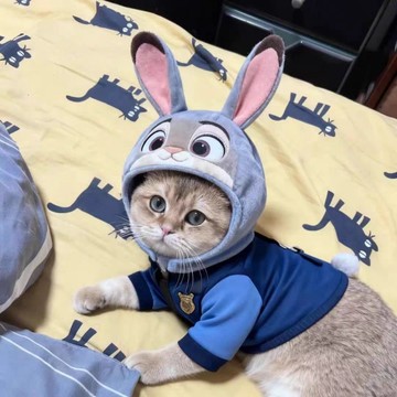 台現免運💛瘋狂動物城朱迪兔子警官寵物毛絨頭套小狗狗貓咪cos連帽衣服帶尾巴 萌寵角色扮演服裝 寵物用品 秋冬保暖扮裝道具