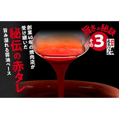 ふるさと納税 牛ハラミ肉 1.2kg（300g×4）秘伝の赤タレ漬け 訳あり サイズ不揃い 大阪府泉佐野市