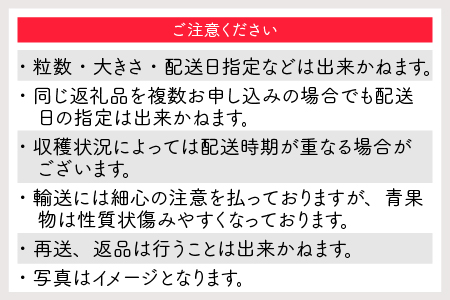 2月にお届け！特選大粒イチゴ（イチゴザウルス）[C-11601]