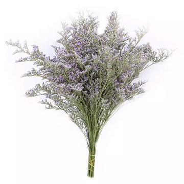 情人草 120g  綠色 + 紫色