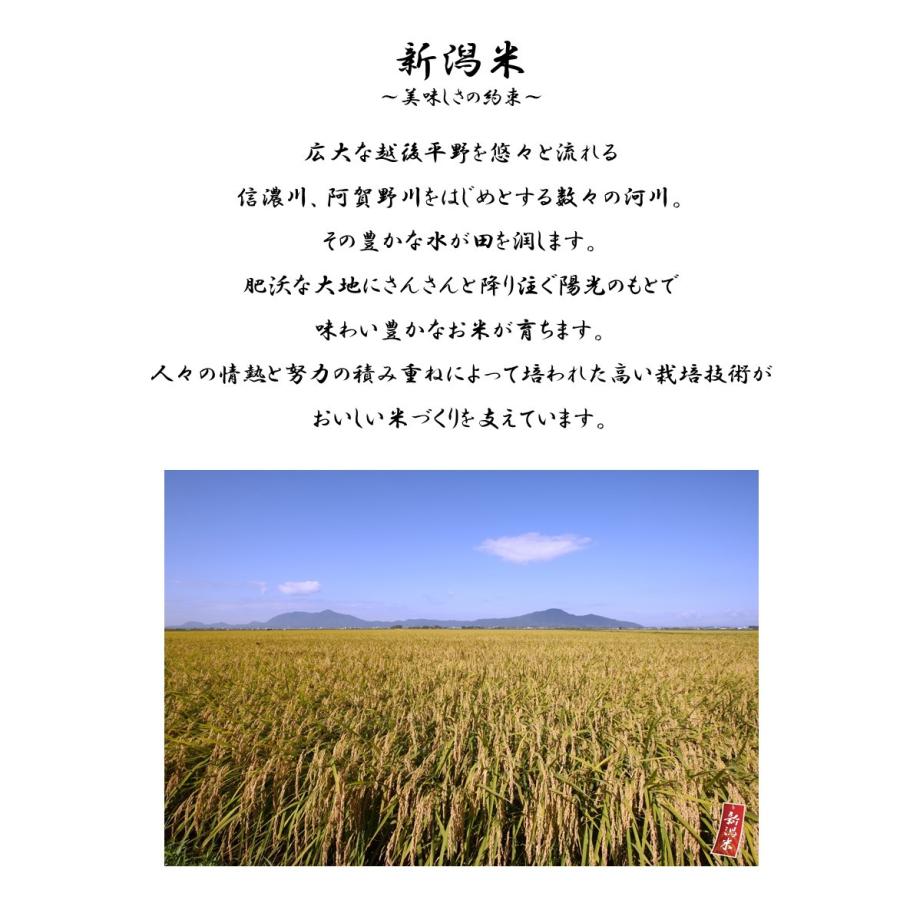 新米 米 お米 5kg セール コシヒカリ こしひかり 新潟産 本州送料無料新米 令和5年