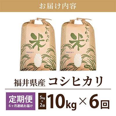 ふるさと納税 越前町 コシヒカリ 10kg × 6回 福井県産[白米]全6回