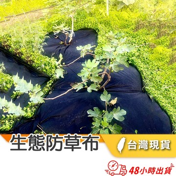【小魚生活館台灣出貨】無紡布生態防草布 80cm 120cm 切片款 單片 果園 除草布 地布開孔遮蓋果樹