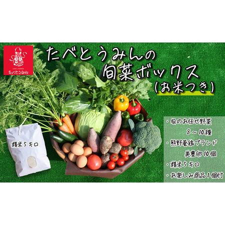 ふるさと納税 旬菜Box C 愛媛県四国中央市