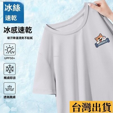 🌈台倉出庫🌈 【冰絲涼感】冰絲網眼t恤男士短袖夏季薄款2025潮流透氣運動速幹半袖圓領衣服