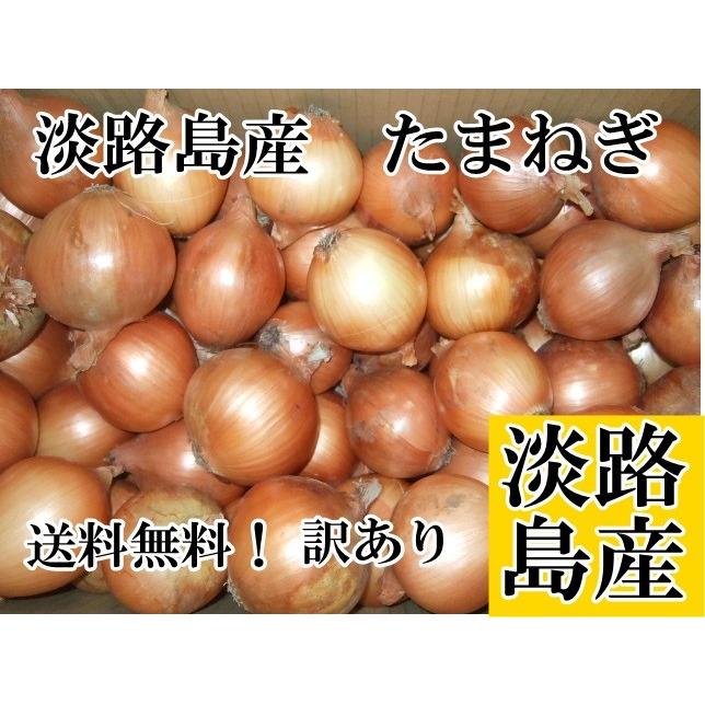 淡路島産玉ねぎ訳あり５kg 2023年産 ＊地域限定送料無料でお届けいたし