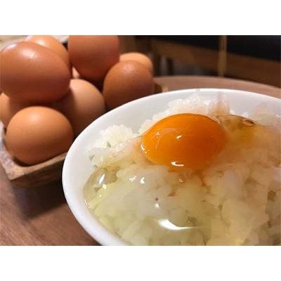 ふるさと納税 丹波市 やまぶき卵40個と醤油セット