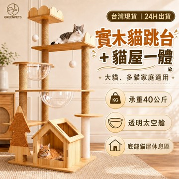 台灣現貨⭐貓跳台 大型木質太空艙貓跳台 貓爬梯 貓咪跳台 爬架貓窩 免打孔貓爬架 貓咪跳台【保固一年】台灣出貨（免運）