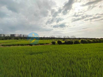 芎林富林段方正農地｜新竹縣芎林鄉富林段